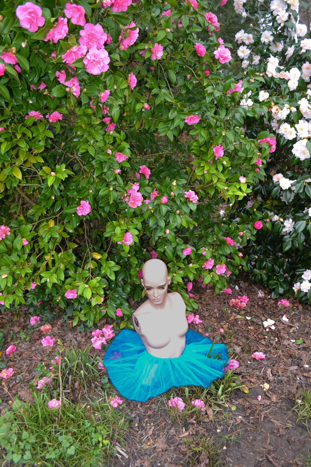 Kaatjes Anima – Visual culture&nbsp;project